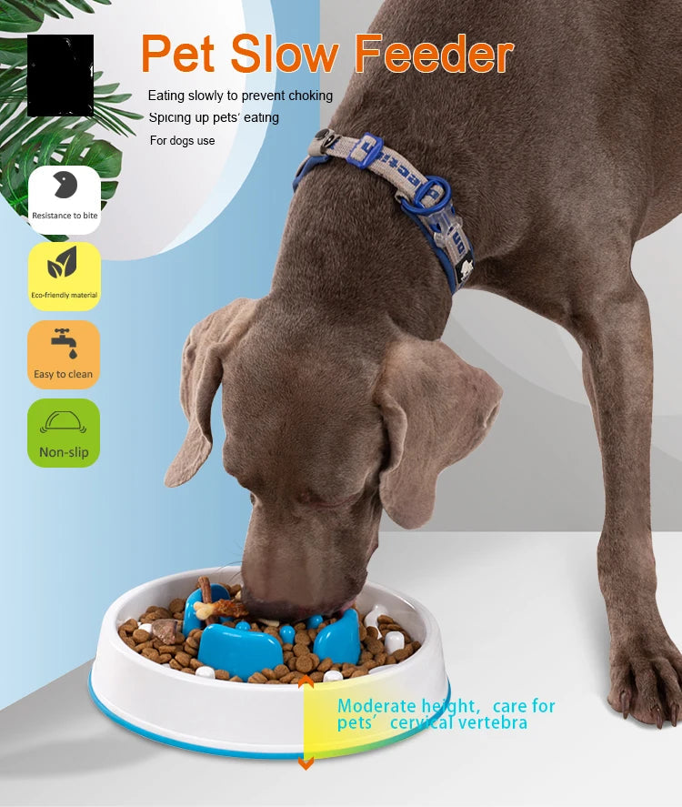 Interactive Slow Feeder Bowl – Anti-Choking, Anti-Slip & Bloat-Prevention! - Pet house