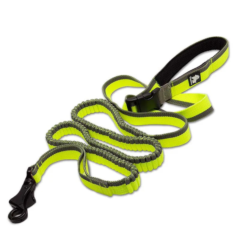 Hands-Free Bungee Dog Leash – Adjustable, Shock-Absorbing & Secure! - Pet house