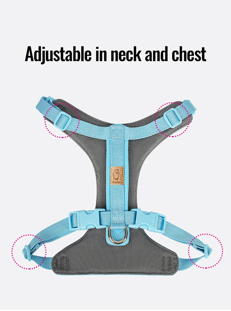 Eco-Friendly All-in-One Pet Harness Set – Sustainable & Comfortable! - Pet house