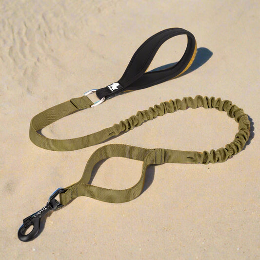 Shock-Absorbing Dog Leash – Strong, Secure & Built for Power! - Pet house