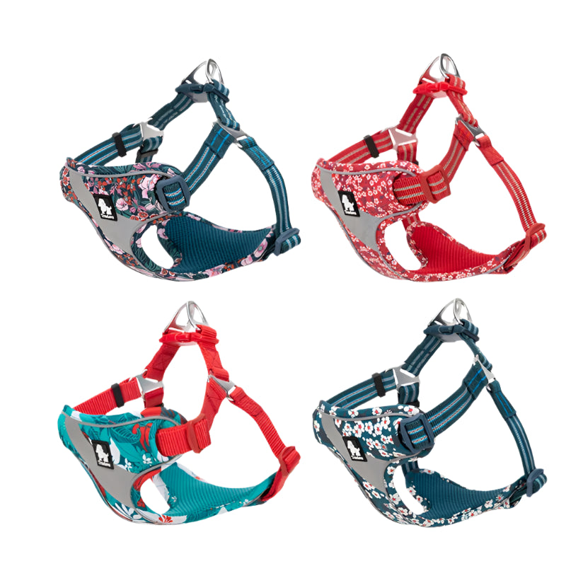 Soft Padded Floral Dog Harness – Comfortable, Adjustable & Stylish! - Pet house