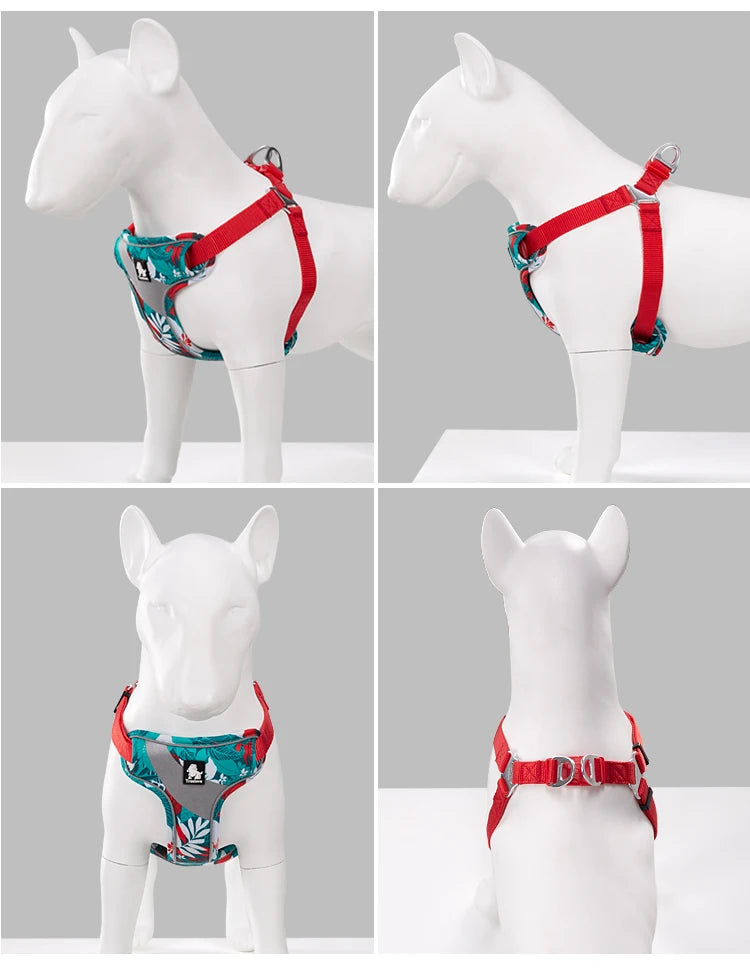 Soft Padded Floral Dog Harness – Comfortable, Adjustable & Stylish! - Pet house