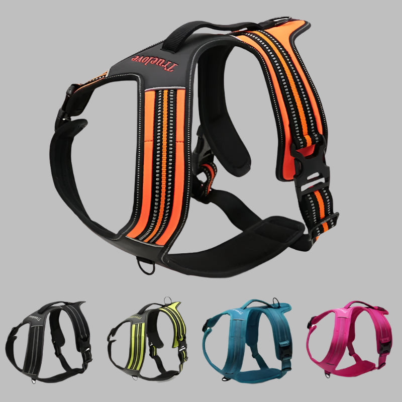 Sporty No-Pull Dog Harness – Reflective, Adjustable & Adventure-Ready! - Pet house