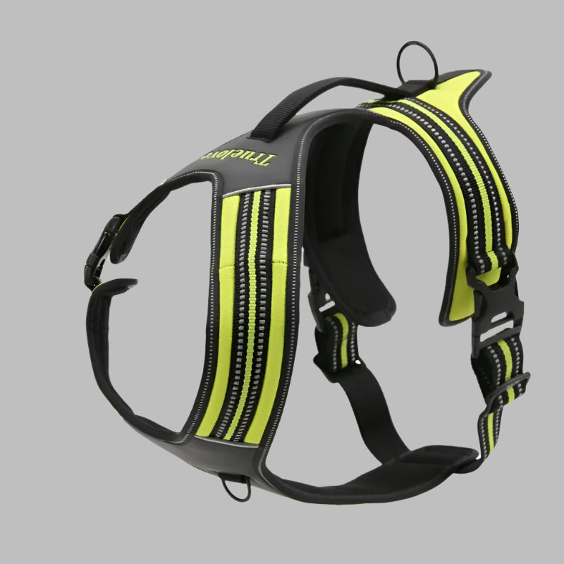 Sporty No-Pull Dog Harness – Reflective, Adjustable & Adventure-Ready! - Pet house