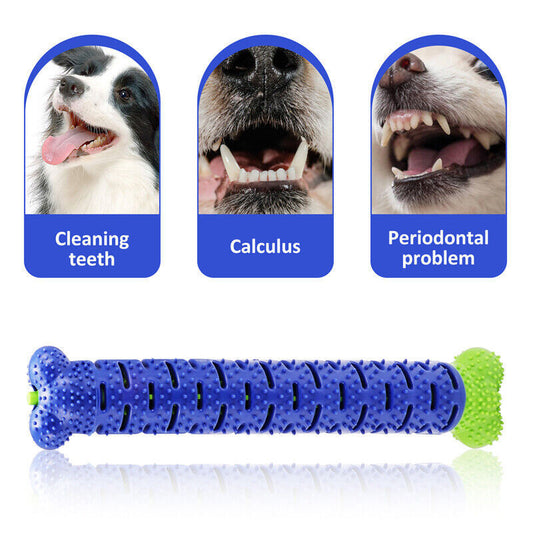 Ultimate Dog Chew & Toothbrush Toy – Durable TPR Dental Care - Pet house